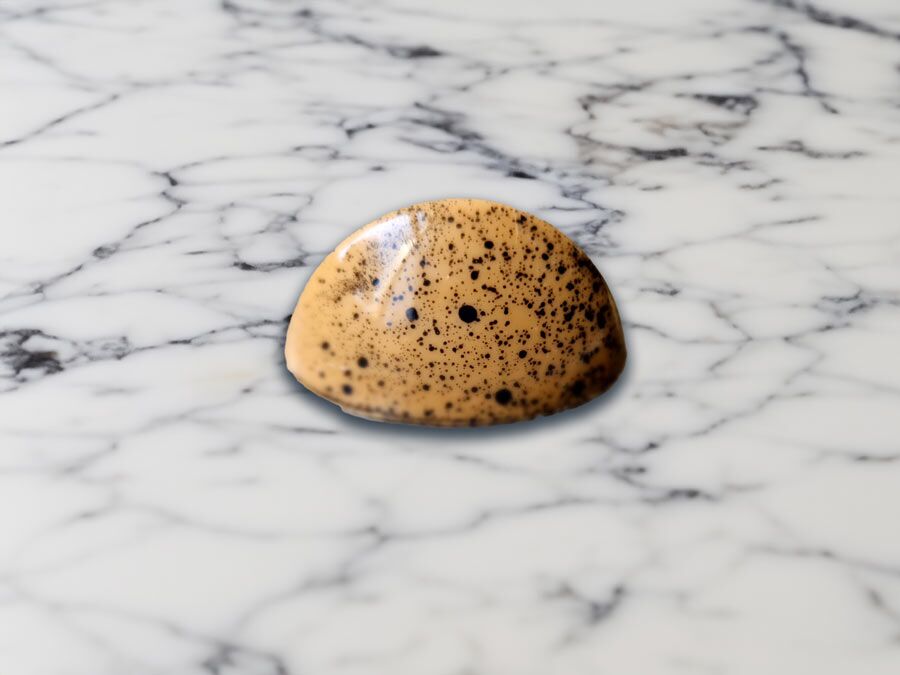 Dappled Caramel – Tonka Bean - Image 4