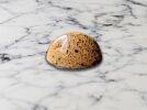 Dappled Caramel – Tonka Bean - Image 4